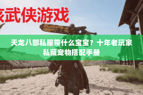 天龙八部私服带什么宝宝？十年老玩家私藏宠物搭配手册