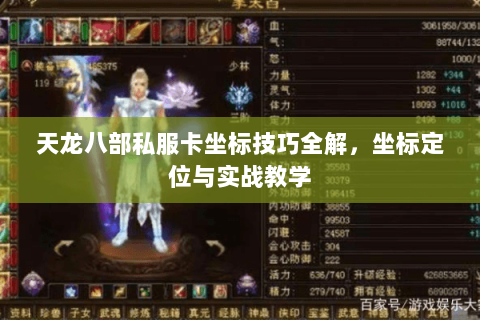 天龙八部私服卡坐标技巧全解，坐标定位与实战教学