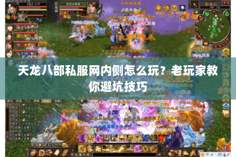 天龙八部私服网内侧怎么玩？老玩家教你避坑技巧