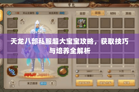 天龙八部私服超大宝宝攻略，获取技巧与培养全解析