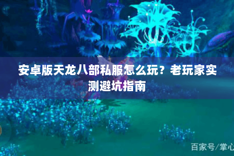 安卓版天龙八部私服怎么玩？老玩家实测避坑指南