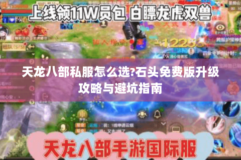 天龙八部私服怎么选?石头免费版升级攻略与避坑指南