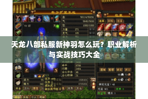 天龙八部私服新神羽怎么玩？职业解析与实战技巧大全