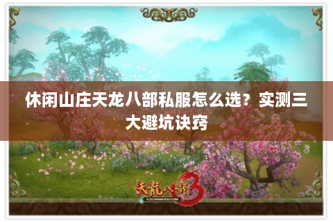 休闲山庄天龙八部私服怎么选？实测三大避坑诀窍