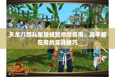 天龙八部私服版技能修改指南，高手都在用的实战技巧