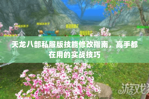 天龙八部私服版技能修改指南，高手都在用的实战技巧