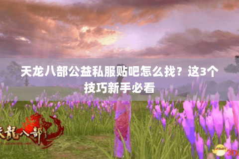 天龙八部公益私服贴吧怎么找？这3个技巧新手必看