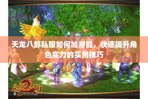 天龙八部私服如何加潜能，快速提升角色实力的实用技巧