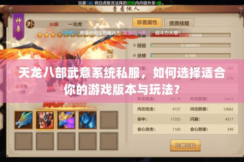 天龙八部武意系统私服，如何选择适合你的游戏版本与玩法？