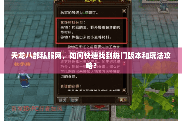 天龙八部私服网，如何快速找到热门版本和玩法攻略？
