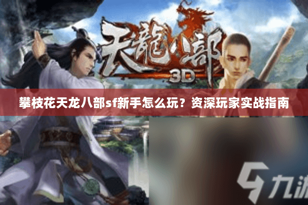 攀枝花天龙八部sf新手怎么玩？资深玩家实战指南