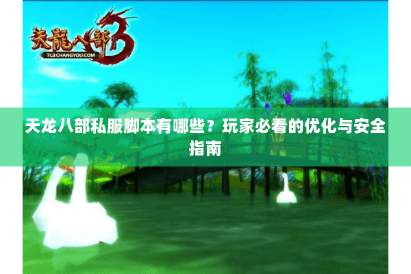 天龙八部私服脚本有哪些？玩家必看的优化与安全指南