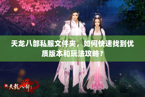 天龙八部私服文件夹，如何快速找到优质版本和玩法攻略？