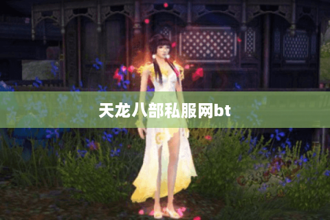 天龙八部私服网bt