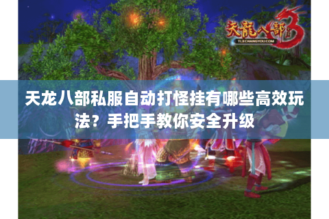天龙八部私服自动打怪挂有哪些高效玩法？手把手教你安全升级