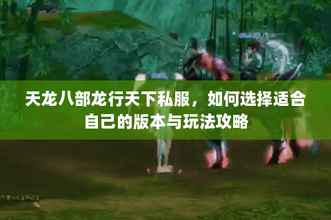 天龙八部龙行天下私服，如何选择适合自己的版本与玩法攻略