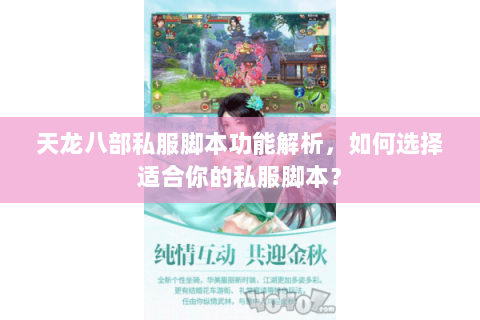 天龙八部私服脚本功能解析，如何选择适合你的私服脚本？