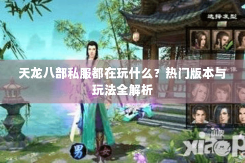 天龙八部私服都在玩什么?热门版本与玩法全解析 天龙八部私服都在玩什么?热门版本与玩法全解析