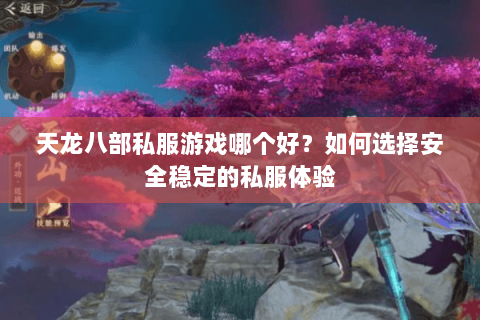 天龙八部私服游戏哪个好？如何选择安全稳定的私服体验