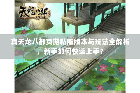 真天龙八部页游私服版本与玩法全解析，新手如何快速上手？