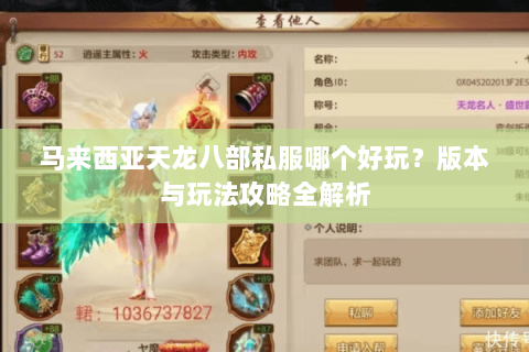马来西亚天龙八部私服哪个好玩？版本与玩法攻略全解析