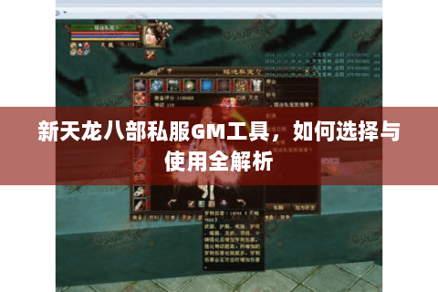 新天龙八部私服GM工具，如何选择与使用全解析
