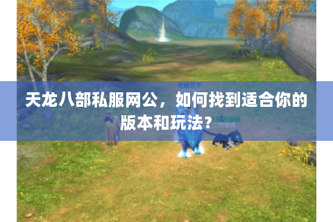 天龙八部私服网公，如何找到适合你的版本和玩法？