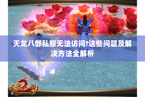 天龙八部私服无法访问？这些问题及解决方法全解析