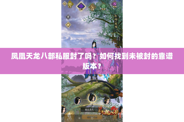 凤凰天龙八部私服封了吗？如何找到未被封的靠谱版本？