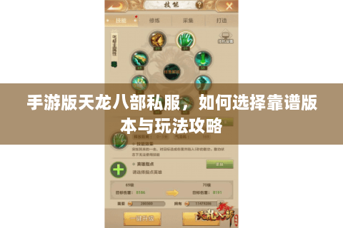 手游版天龙八部私服，如何选择靠谱版本与玩法攻略