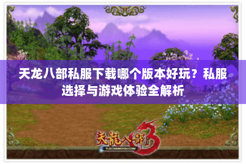 天龙八部私服下载哪个版本好玩？私服选择与游戏体验全解析