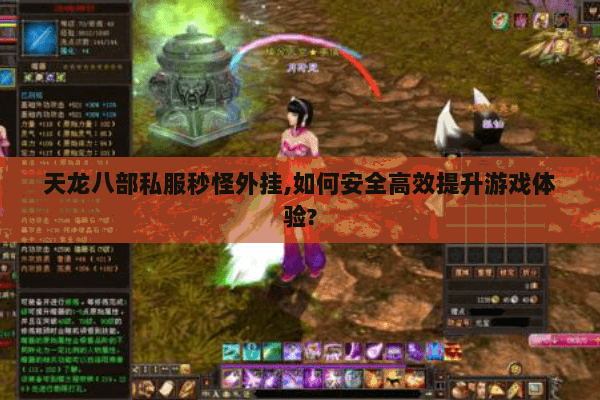 天龙八部私服秒怪外挂,如何安全高效提升游戏体验?