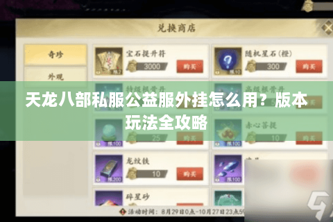 天龙八部私服公益服外挂怎么用？版本玩法全攻略