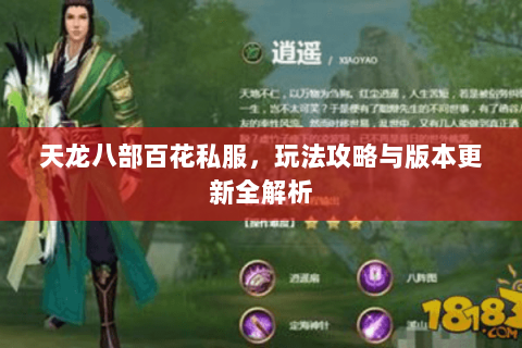 天龙八部百花私服，玩法攻略与版本更新全解析