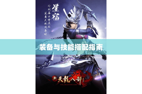 装备与技能搭配指南