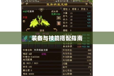 装备与技能搭配指南