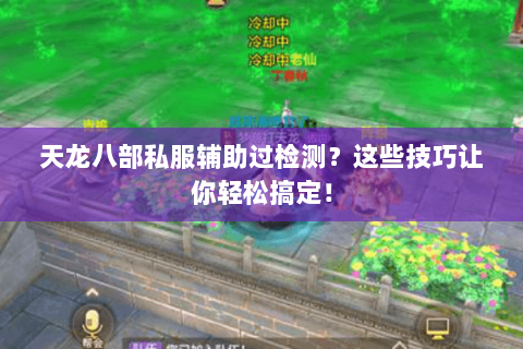 天龙八部私服辅助过检测？这些技巧让你轻松搞定！