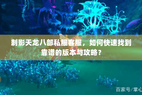 刺影天龙八部私服客服，如何快速找到靠谱的版本与攻略？