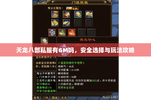 天龙八部私服有GM吗，安全选择与玩法攻略