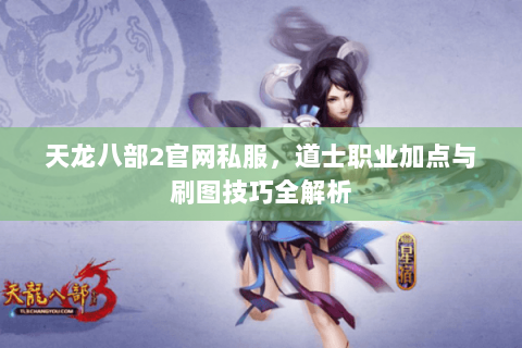 天龙八部2官网私服，道士职业加点与刷图技巧全解析