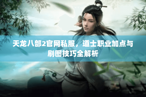 天龙八部2官网私服，道士职业加点与刷图技巧全解析