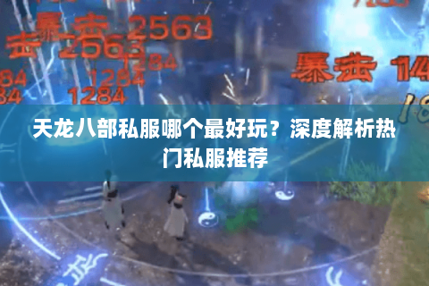 天龙八部私服哪个最好玩？深度解析热门私服推荐