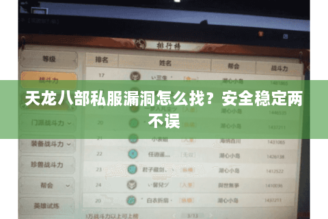 天龙八部私服漏洞怎么找？安全稳定两不误