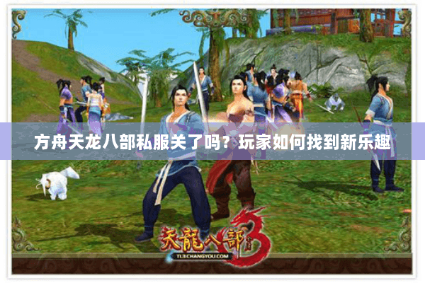 方舟天龙八部私服关了吗？玩家如何找到新乐趣