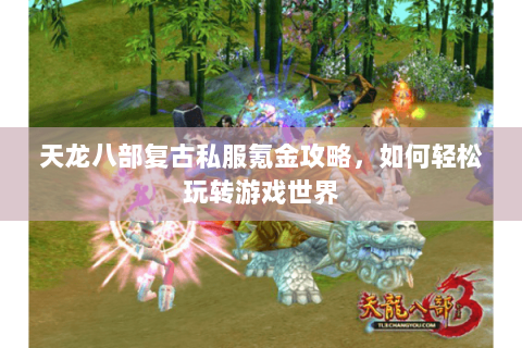 天龙八部复古私服氪金攻略，如何轻松玩转游戏世界