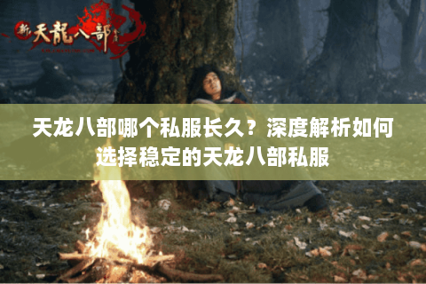 天龙八部哪个私服长久？深度解析如何选择稳定的天龙八部私服