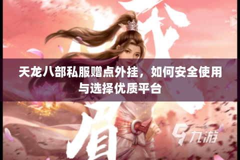 天龙八部私服赠点外挂，如何安全使用与选择优质平台