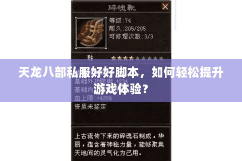 天龙八部私服好好脚本，如何轻松提升游戏体验？