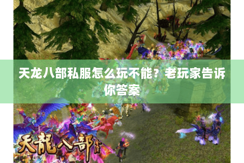 天龙八部私服怎么玩不能？老玩家告诉你答案