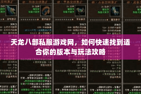 天龙八部私服游戏网，如何快速找到适合你的版本与玩法攻略